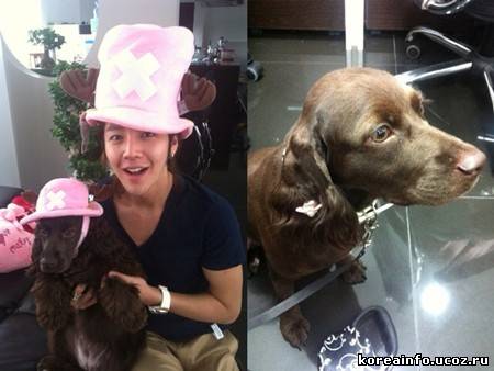 Чжан Гын Сок и его щенок фанаты "One Piece"?